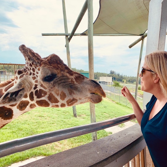 Meet your Posher, Jea - Picture 4 of 12